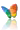 MSN Explorer